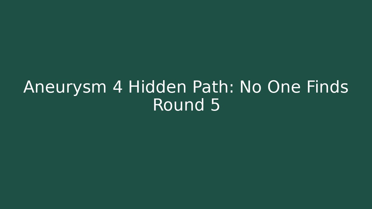 Aneurysm 4 Hidden Path: No One Finds Round 5 - Create More Assets