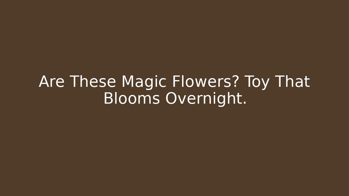 Are These Magic Flowers? Toy That Blooms Overnight.