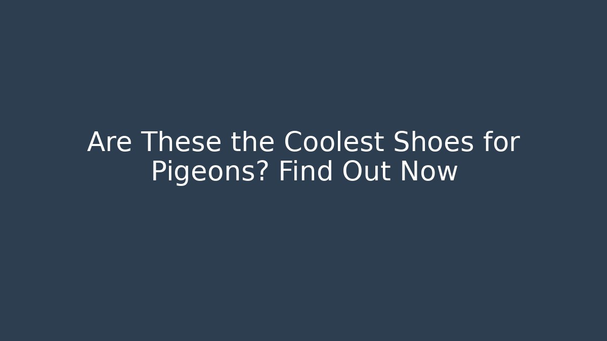 Are These the Coolest Shoes for Pigeons? Find Out Now