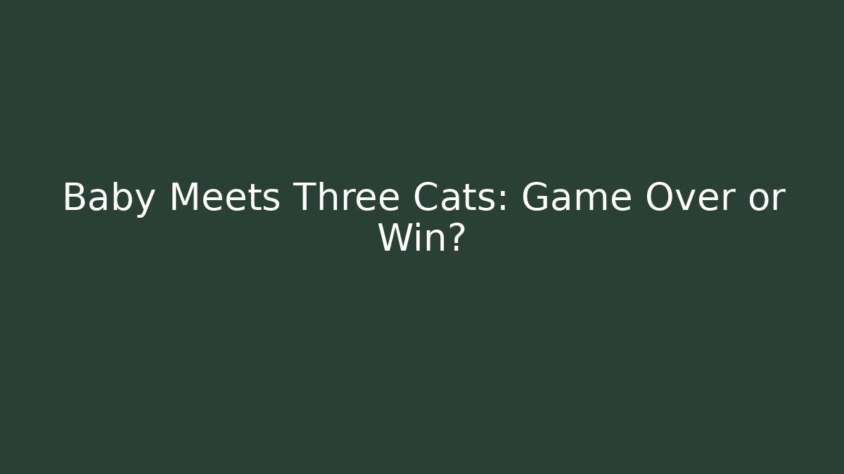 Baby Meets Three Cats: Game Over or Win?