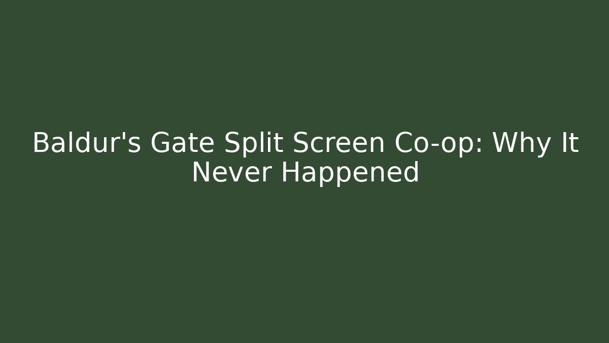 Baldur's Gate Split Screen Co-op: Why It Never Happened - Create More Assets