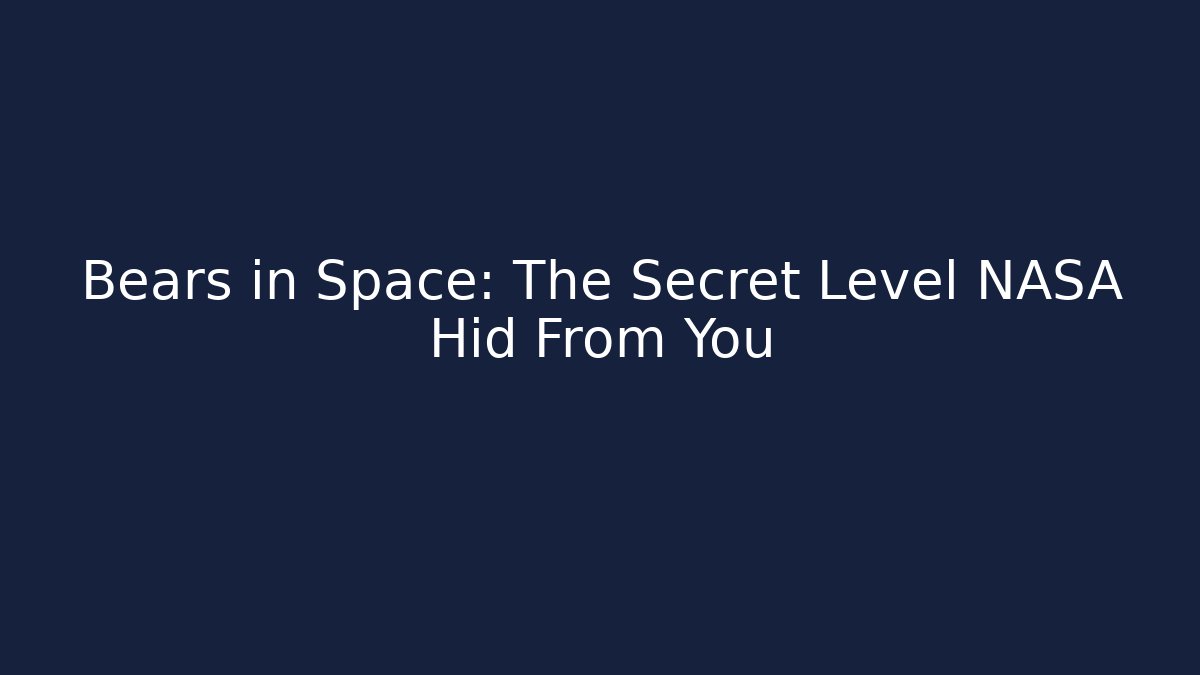 Bears in Space: The Secret Level NASA Hid From You