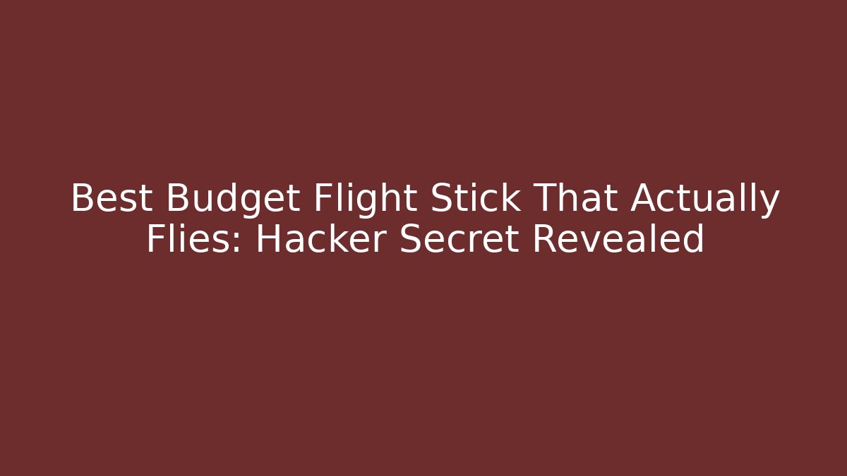 Best Budget Flight Stick That Actually Flies: Hacker Secret Revealed