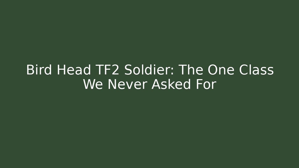 Bird Head TF2 Soldier: The One Class We Never Asked For