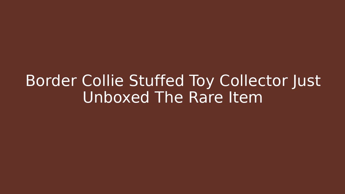 Border Collie Stuffed Toy Collector Just Unboxed The Rare Item