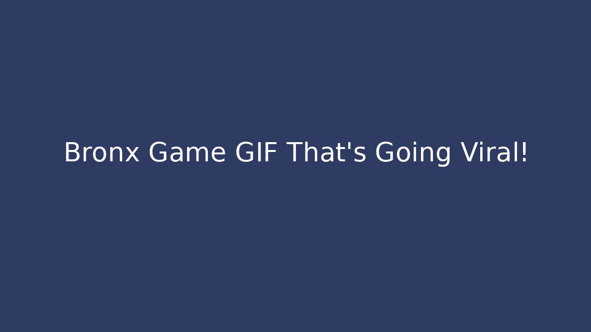 Bronx Game GIF That's Going Viral!