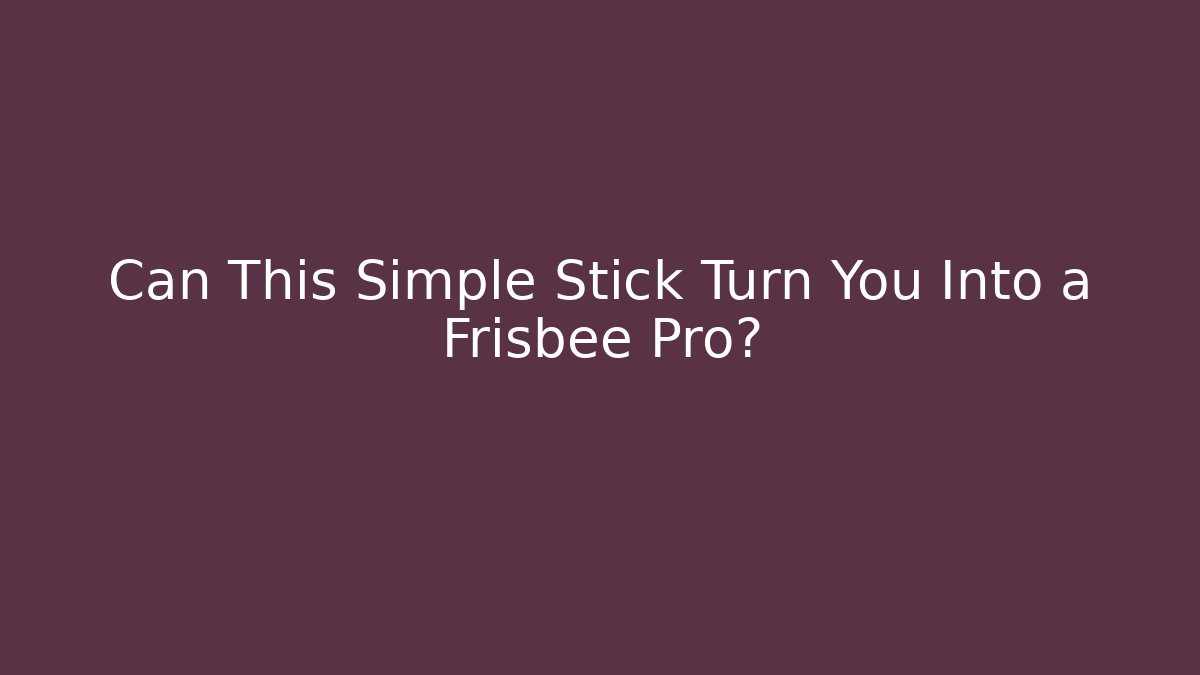 Can This Simple Stick Turn You Into a Frisbee Pro? - Create More Assets