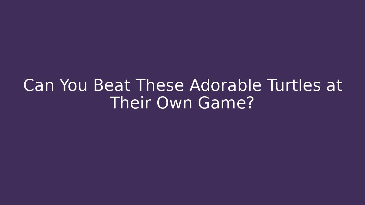 Can You Beat These Adorable Turtles at Their Own Game?