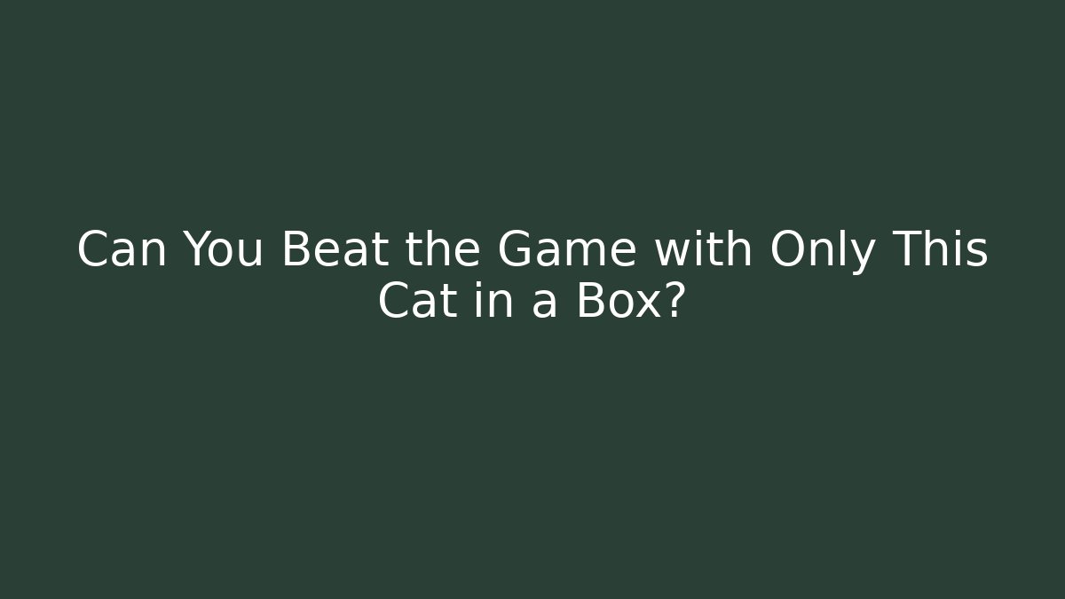 Can You Beat the Game with Only This Cat in a Box?