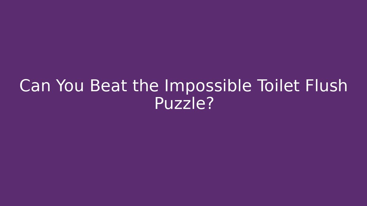 Can You Beat the Impossible Toilet Flush Puzzle?