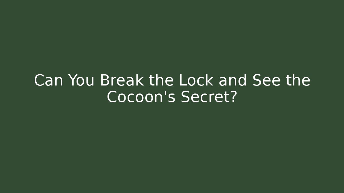 Can You Break the Lock and See the Cocoon's Secret?