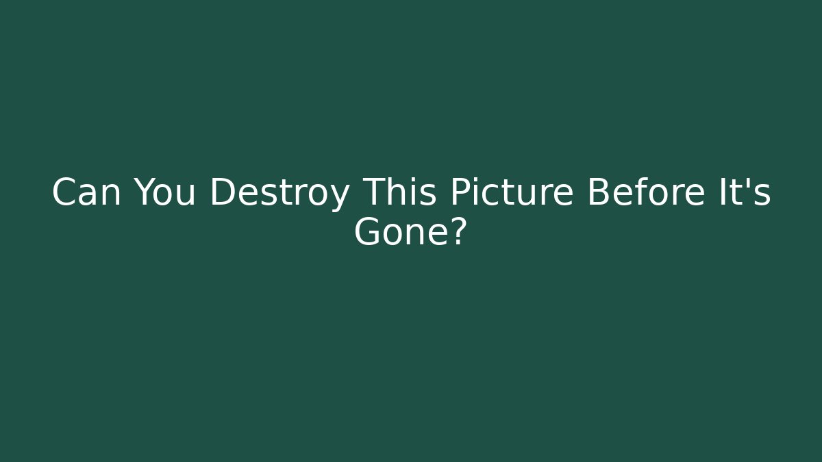 Can You Destroy This Picture Before It's Gone? - Create More Assets