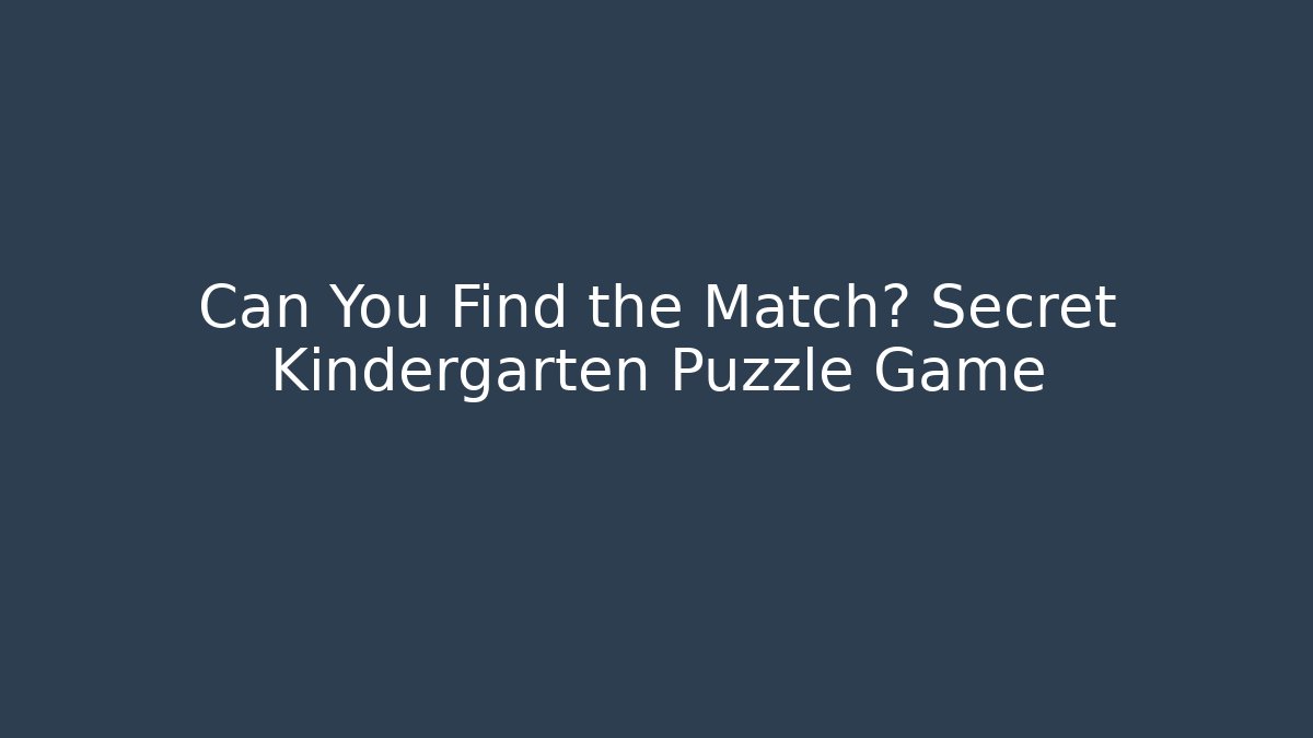 Can You Find the Match? Secret Kindergarten Puzzle Game