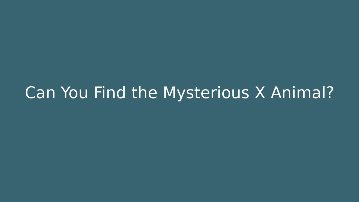 Can You Find the Mysterious X Animal?