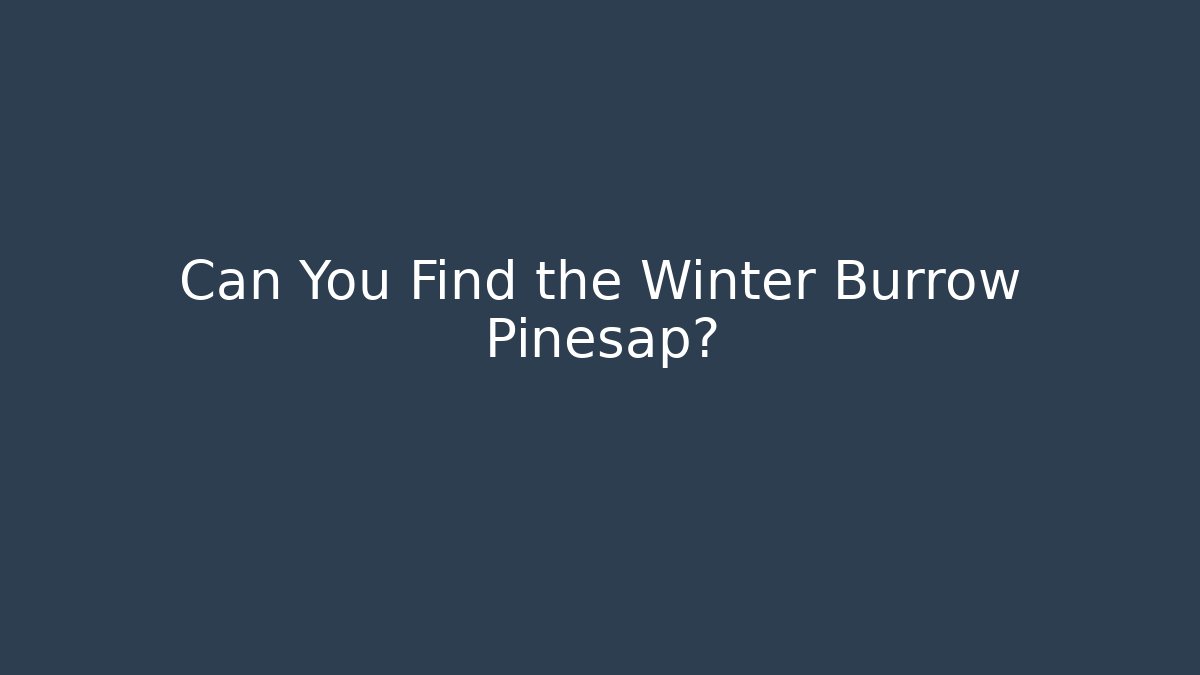 Can You Find the Winter Burrow Pinesap?