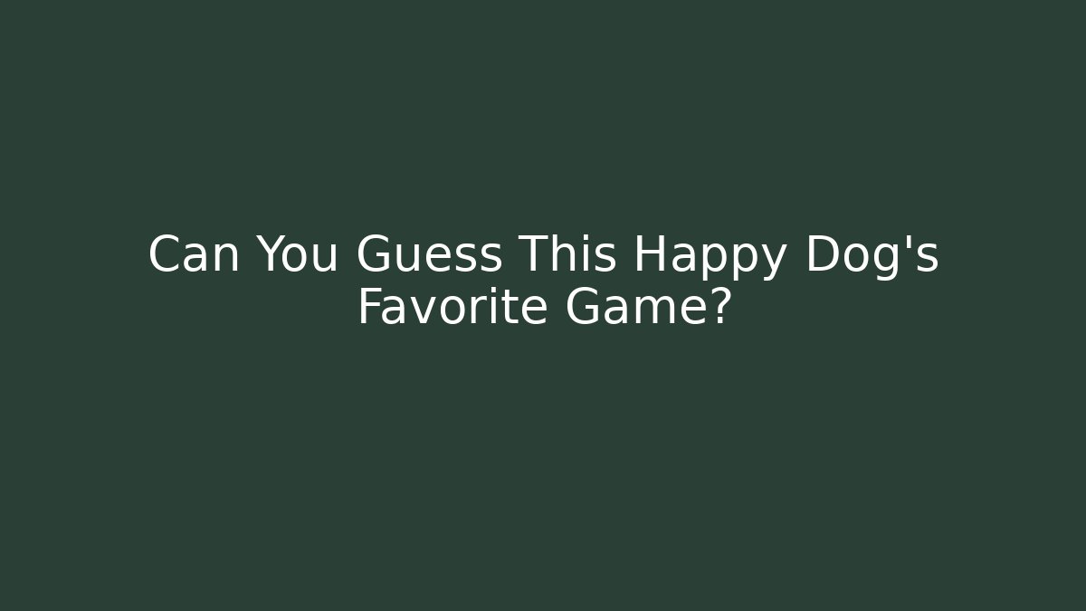 Can You Guess This Happy Dog's Favorite Game?
