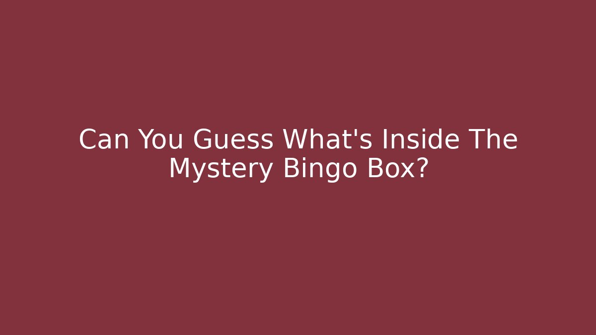 Can You Guess What’s Inside The Mystery Bingo Box?