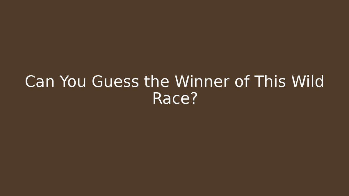 Can You Guess the Winner of This Wild Race?