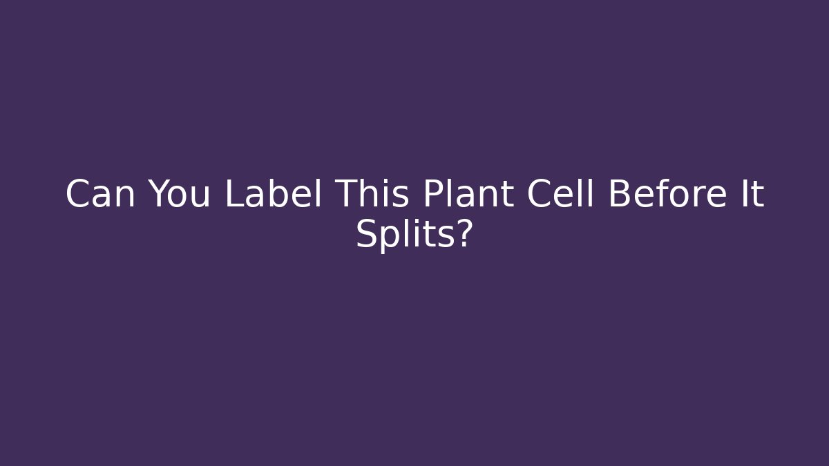 Can You Label This Plant Cell Before It Splits? - Create More Assets
