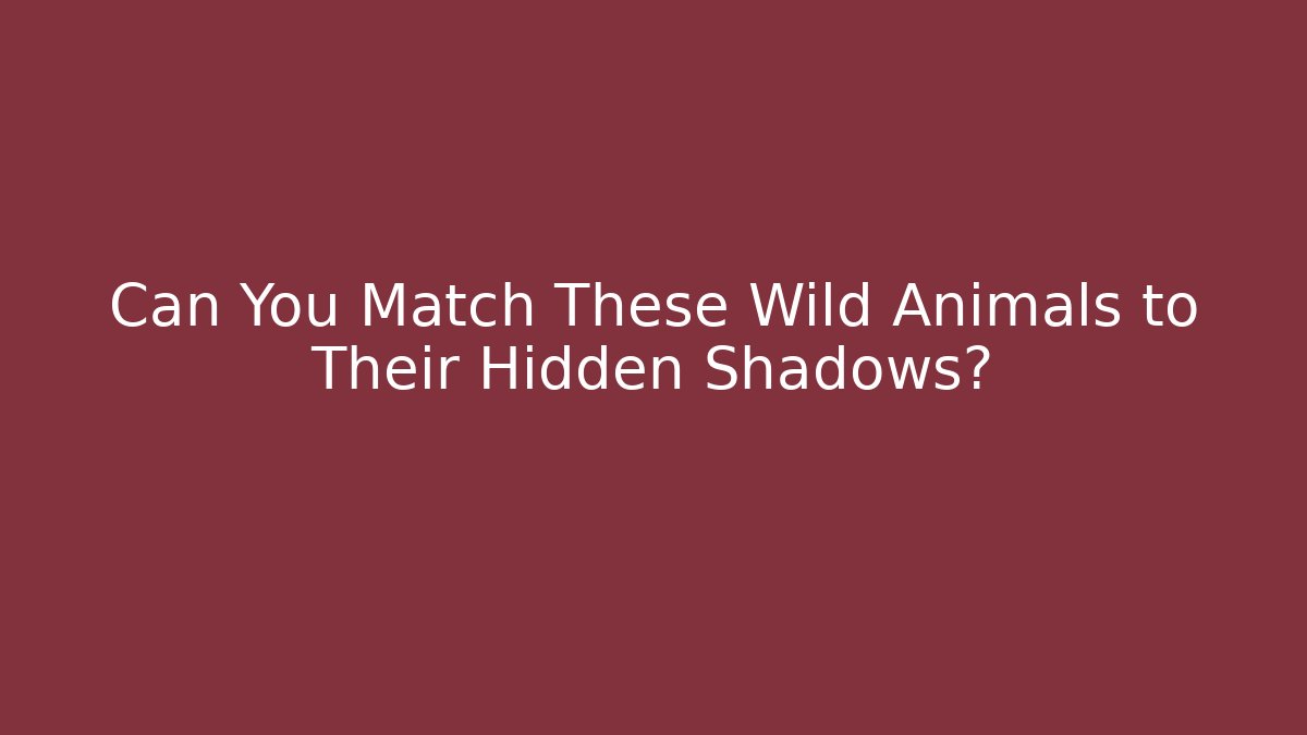 Can You Match These Wild Animals to Their Hidden Shadows?