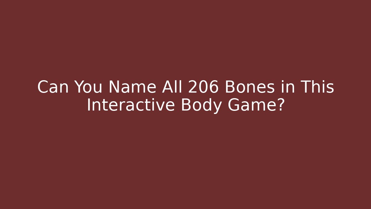 Can You Name All 206 Bones in This Interactive Body Game? - Create More Assets