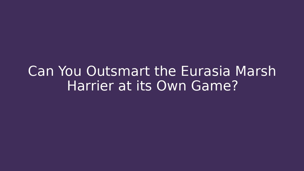 Can You Outsmart the Eurasia Marsh Harrier at its Own Game? - Create More Assets