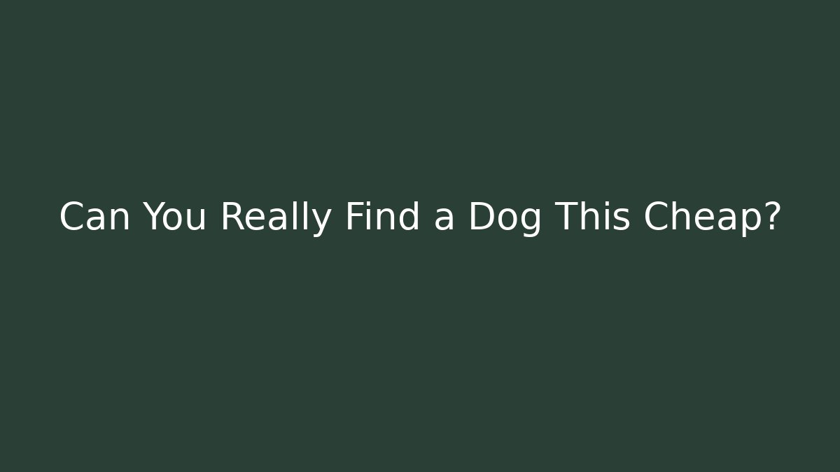 Can You Really Find a Dog This Cheap?