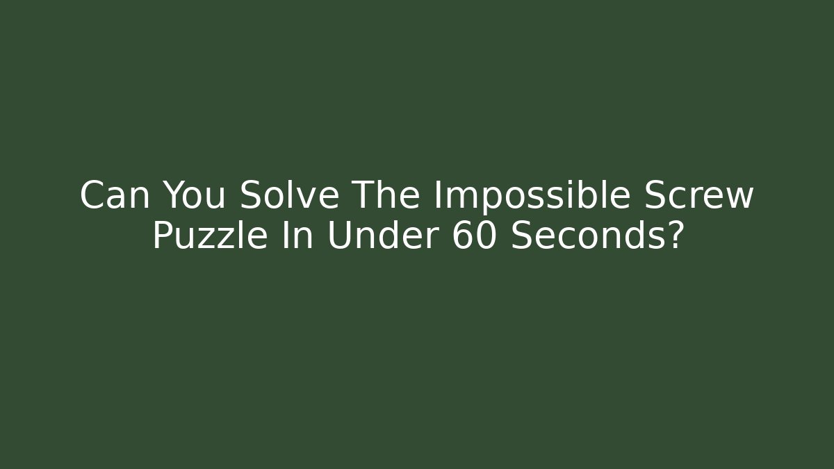 Can You Solve The Impossible Screw Puzzle In Under 60 Seconds?