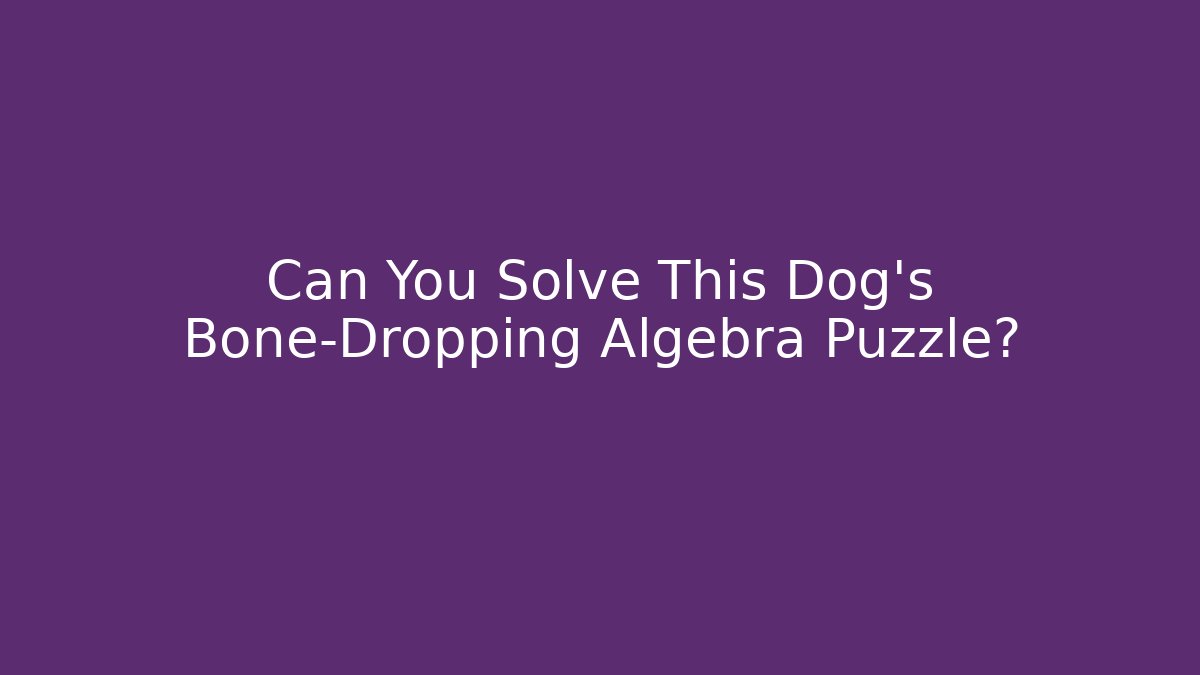Can You Solve This Dog’s Bone-Dropping Algebra Puzzle?