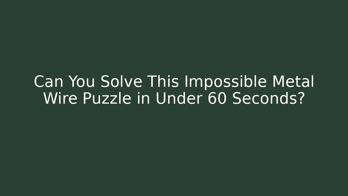 Can You Solve This Impossible Metal Wire Puzzle in Under 60 Seconds?