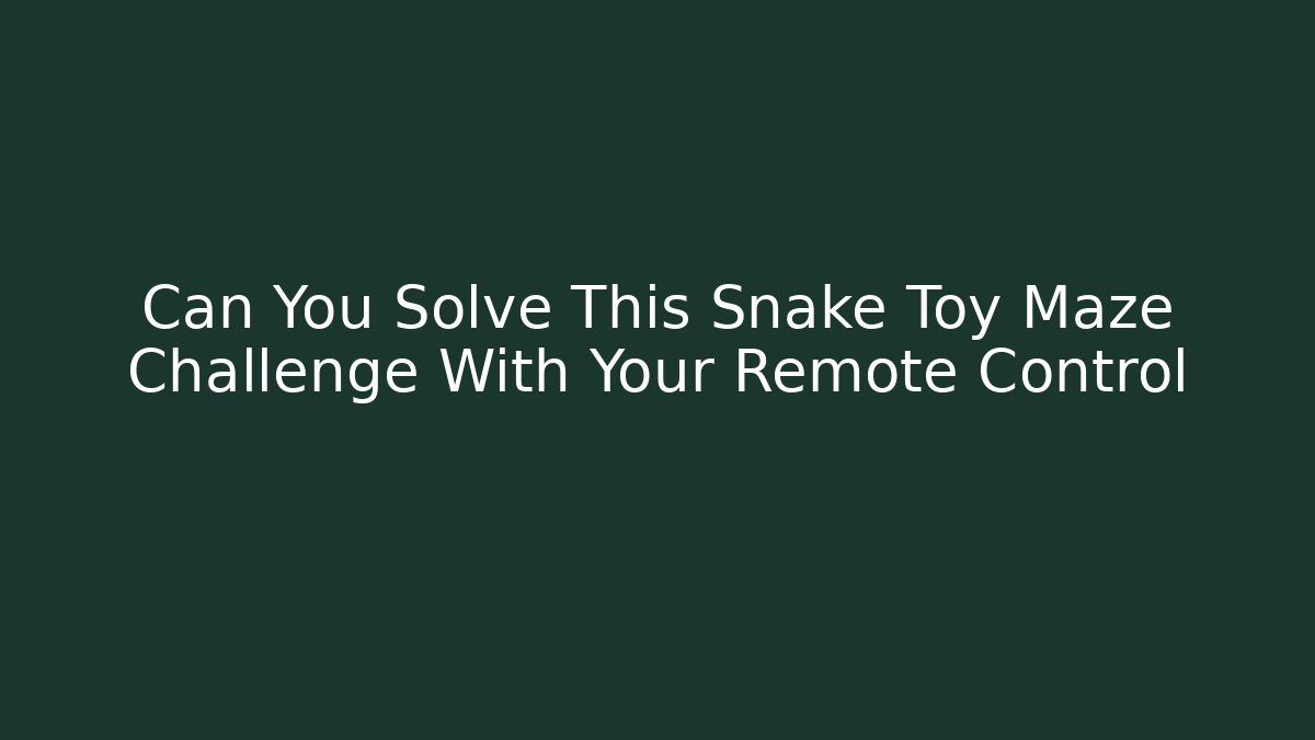 Can You Solve This Snake Toy Maze Challenge With Your Remote Control