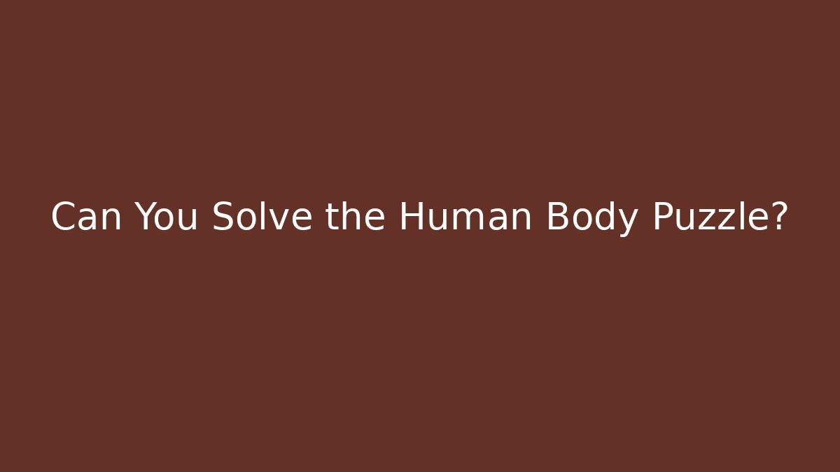 Can You Solve the Human Body Puzzle? - Create More Assets