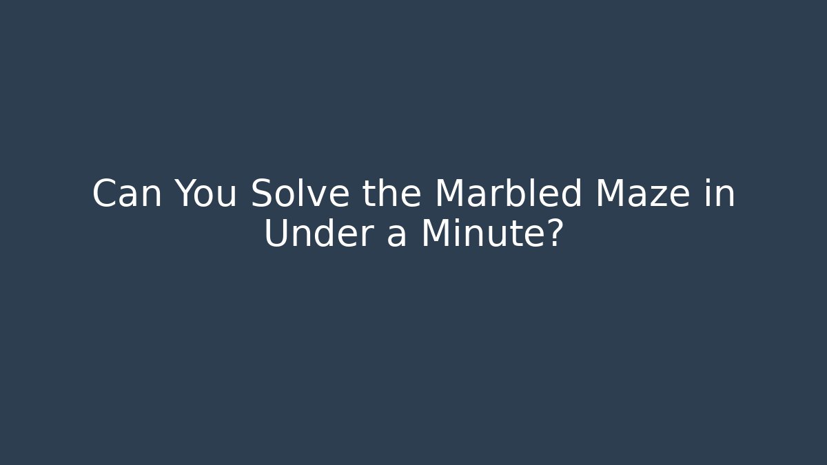 Can You Solve the Marbled Maze in Under a Minute?
