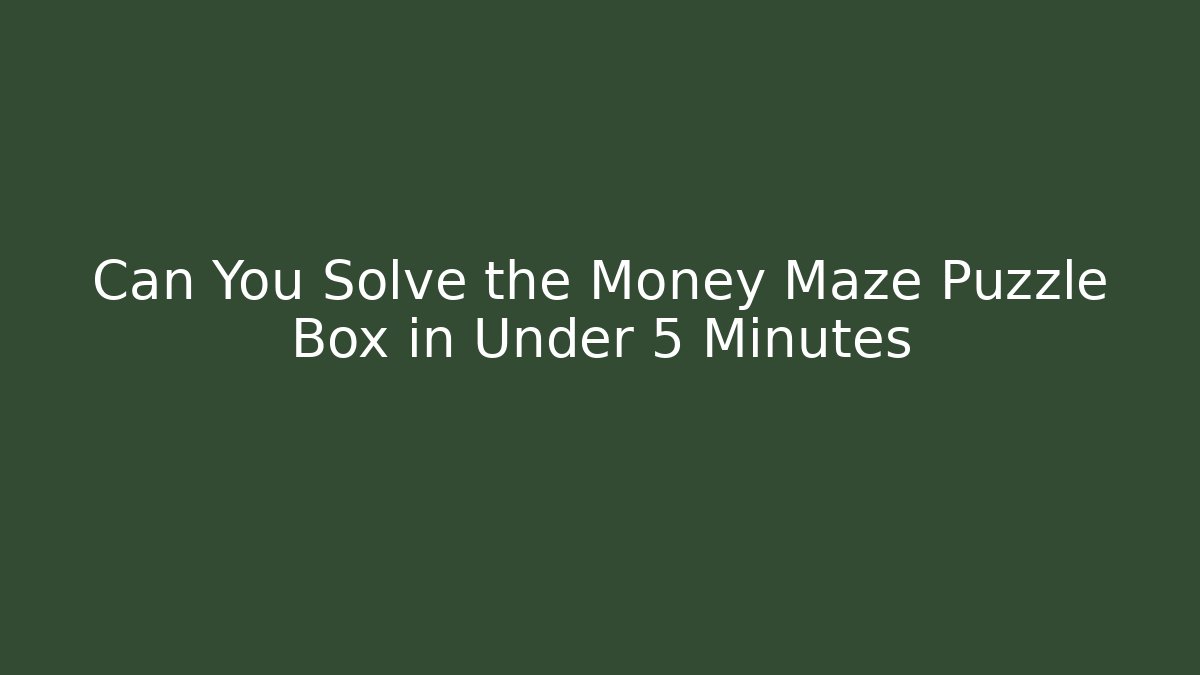 Can You Solve the Money Maze Puzzle Box in Under 5 Minutes