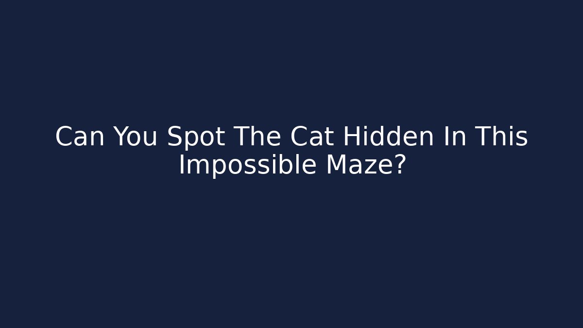 Can You Spot The Cat Hidden In This Impossible Maze?