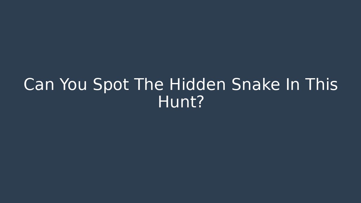 Can You Spot The Hidden Snake In This Hunt? - Create More Assets