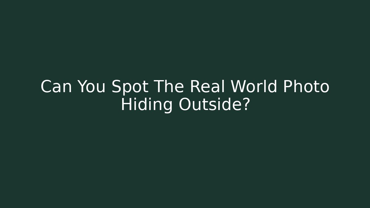 Can You Spot The Real World Photo Hiding Outside?