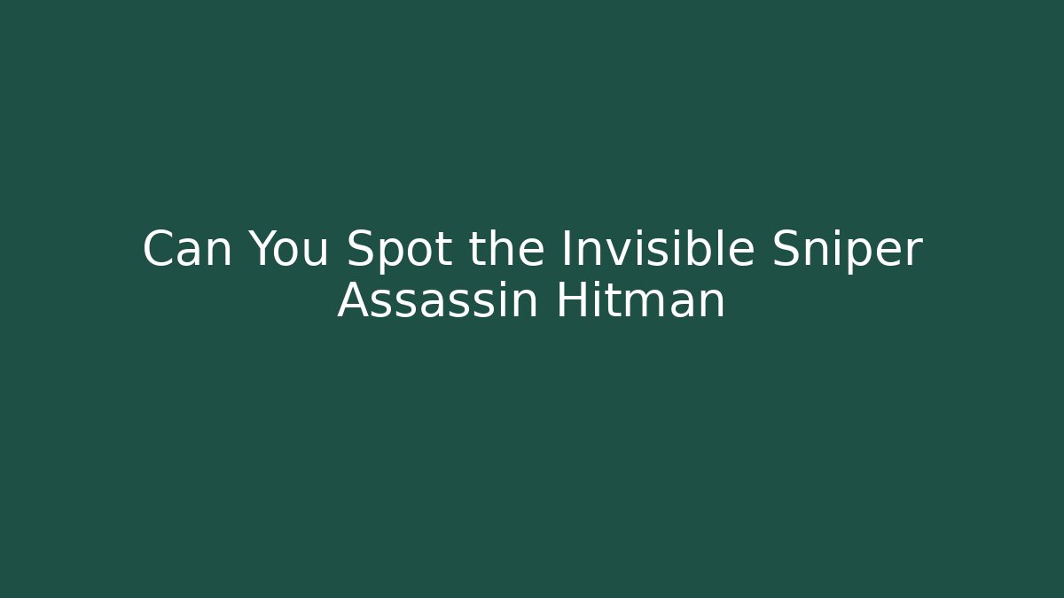Can You Spot the Invisible Sniper Assassin Hitman