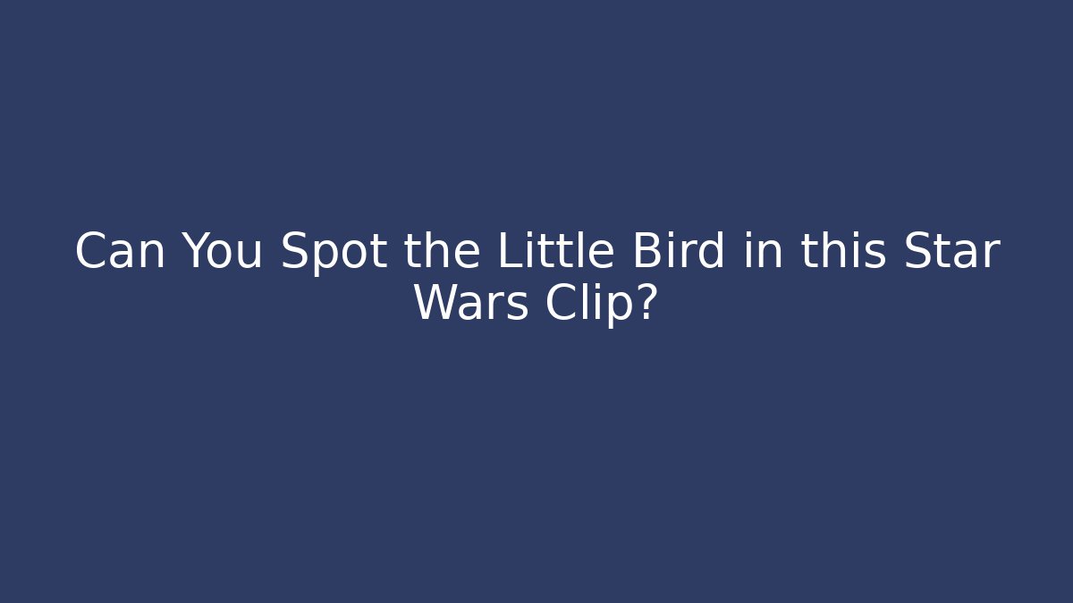 Can You Spot the Little Bird in this Star Wars Clip?