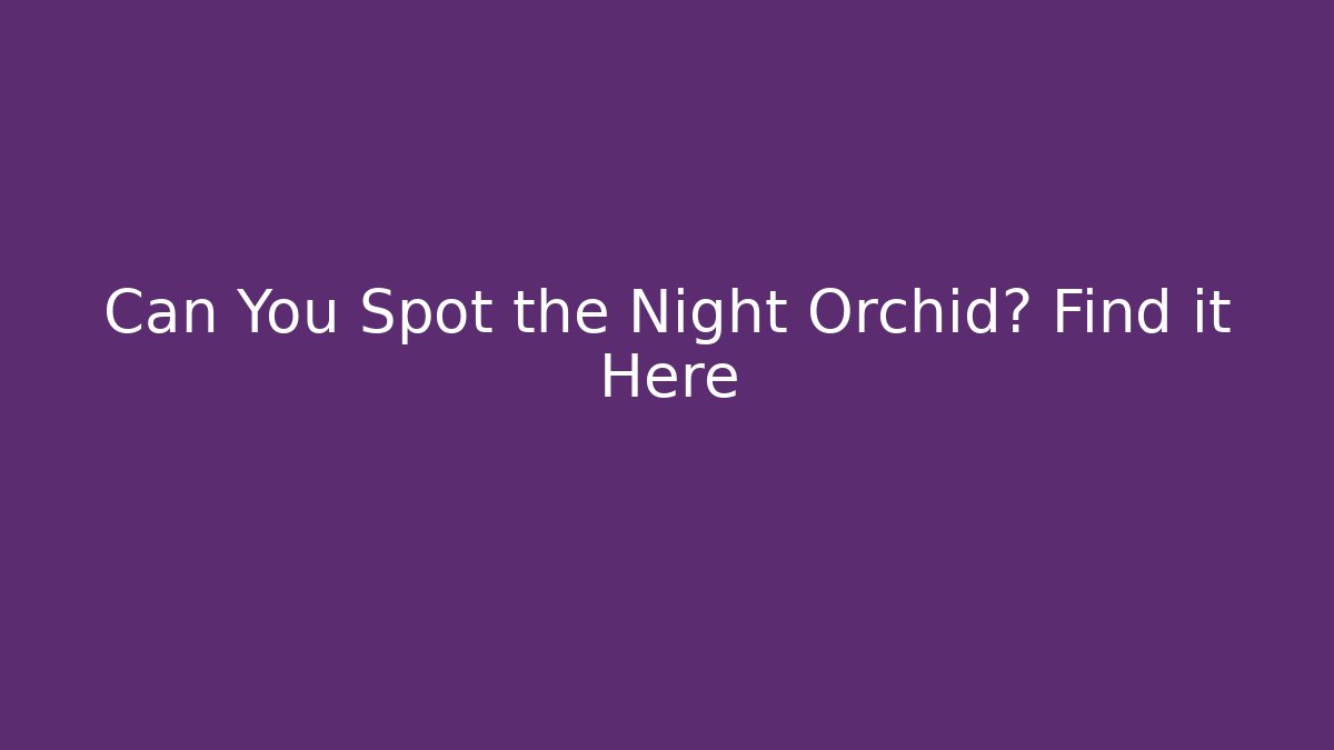 Can You Spot the Night Orchid? Find it Here