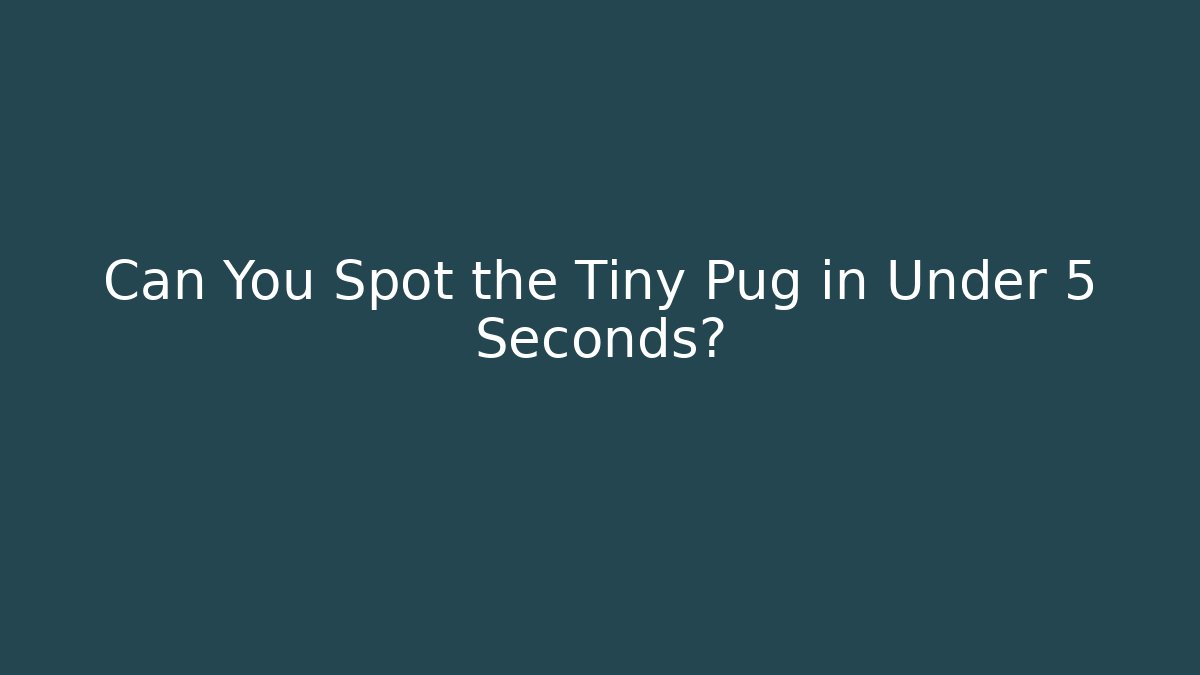 Can You Spot the Tiny Pug in Under 5 Seconds? - Create More Assets