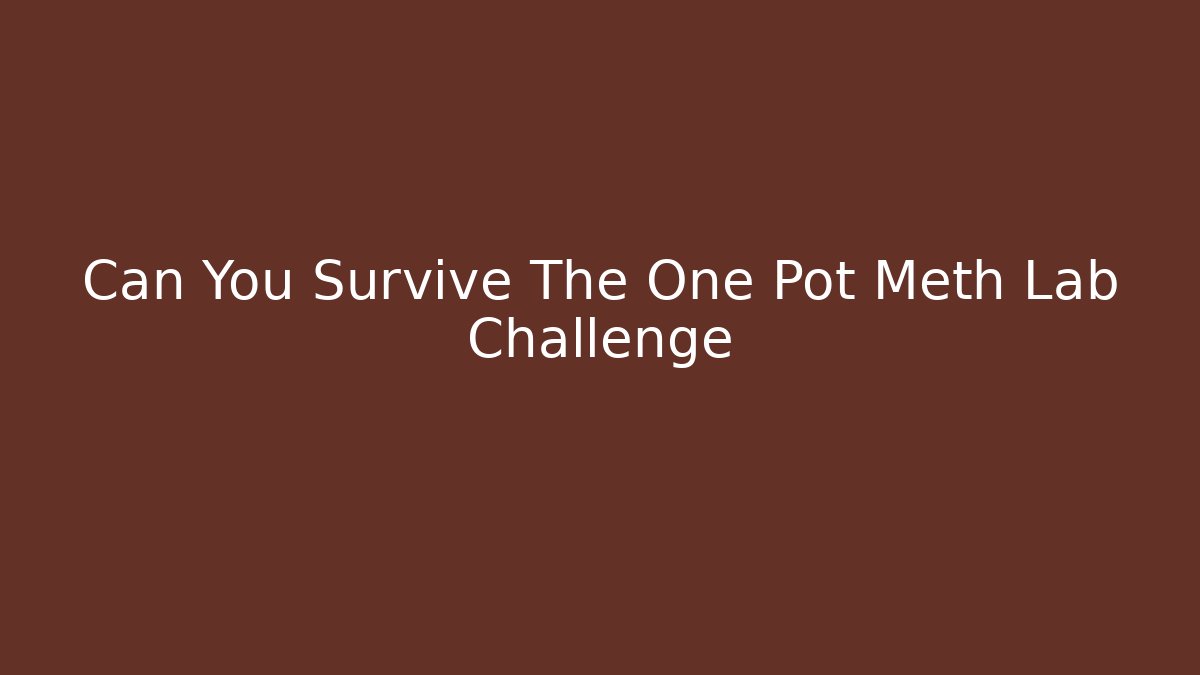 Can You Survive The One Pot Meth Lab Challenge