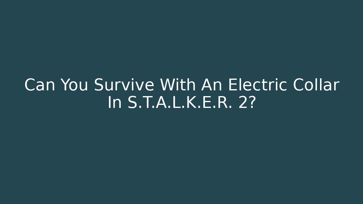 Can You Survive With An Electric Collar In S.T.A.L.K.E.R. 2?