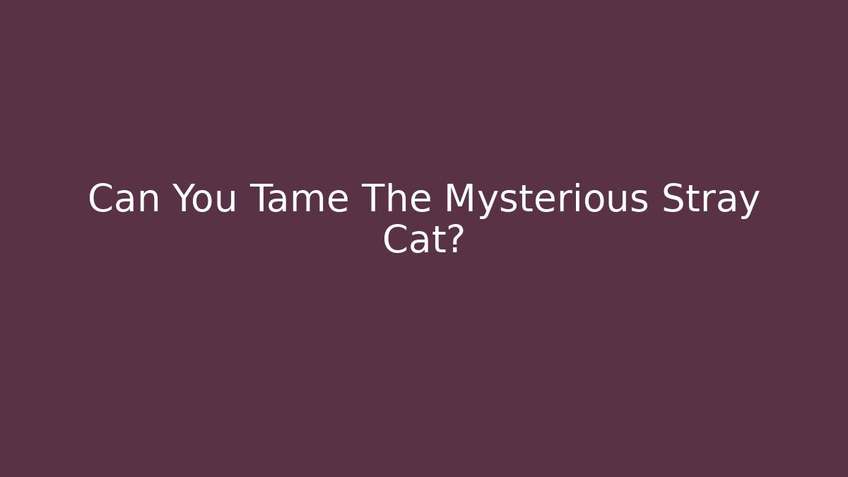 Can You Tame The Mysterious Stray Cat?