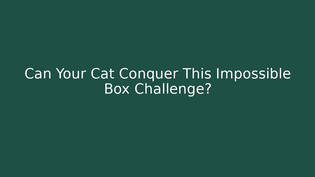 Can Your Cat Conquer This Impossible Box Challenge?