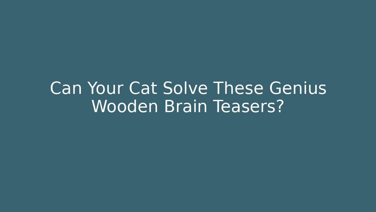 Can Your Cat Solve These Genius Wooden Brain Teasers?