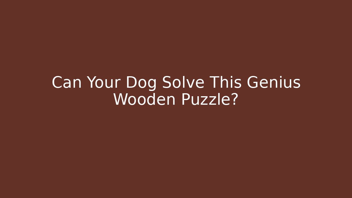 Can Your Dog Solve This Genius Wooden Puzzle?