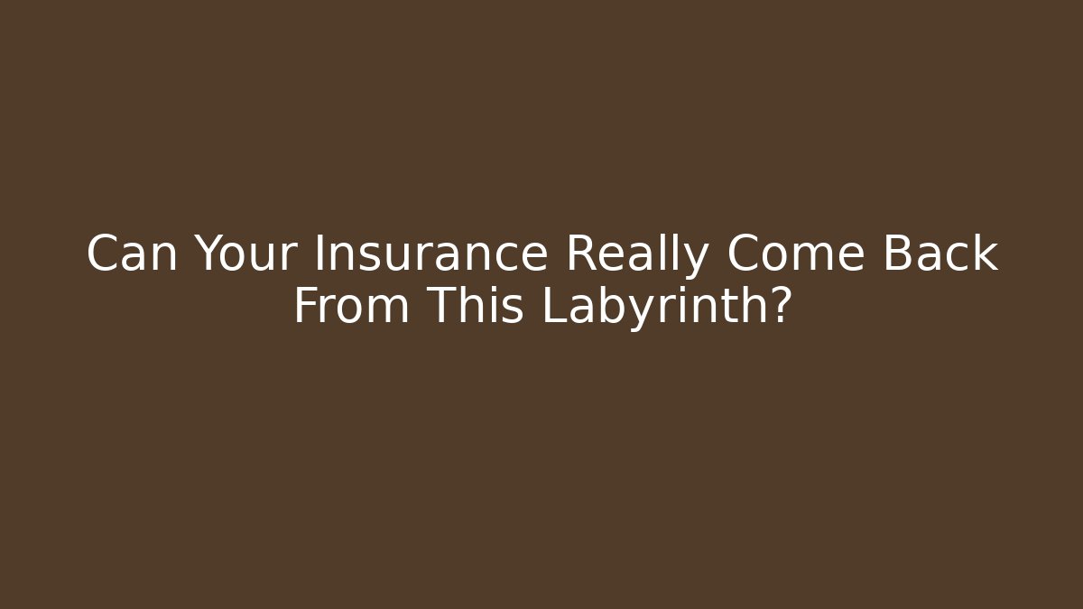 Can Your Insurance Really Come Back From This Labyrinth?