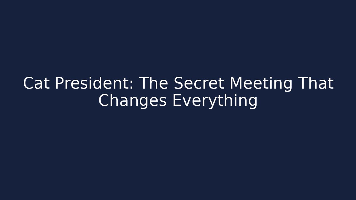 Cat President: The Secret Meeting That Changes Everything