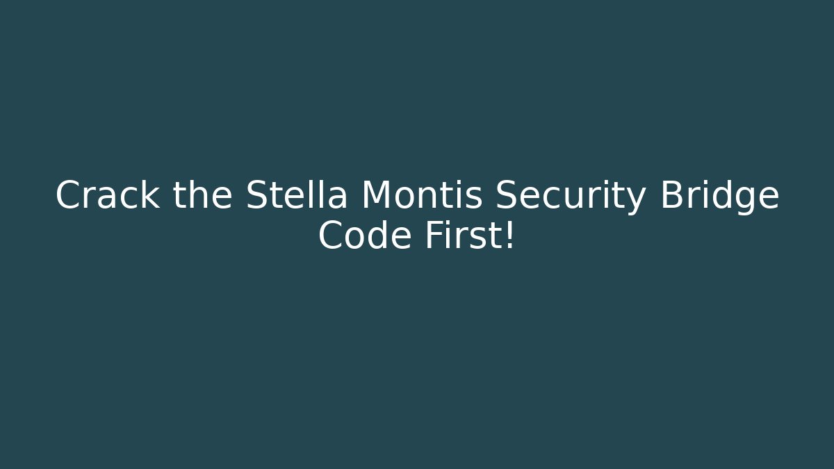 Crack the Stella Montis Security Bridge Code First! - Create More Assets